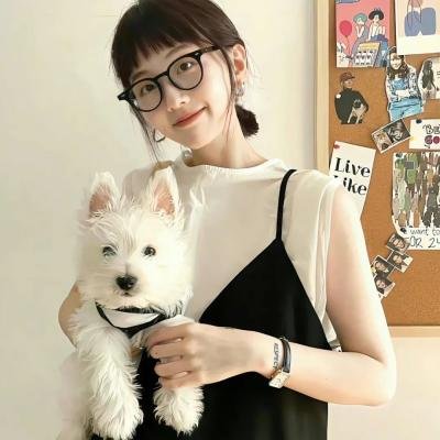 败犬求婚日 海报
